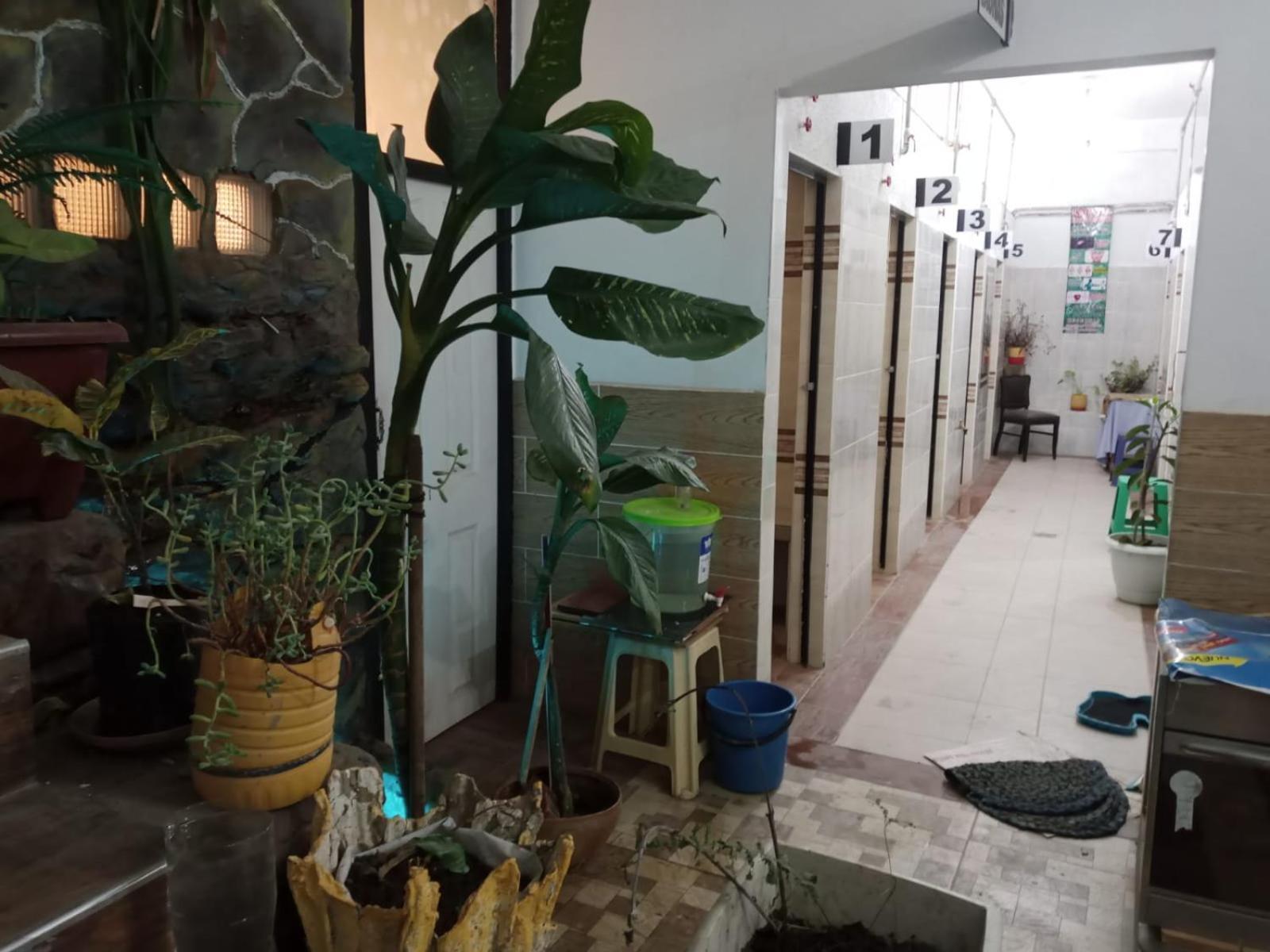 הוסטל קוצ'במבה Casa Qura Qura מראה חיצוני תמונה
